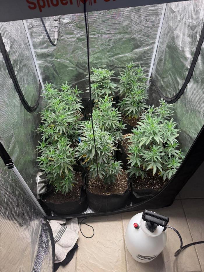 Take 2. Week 2