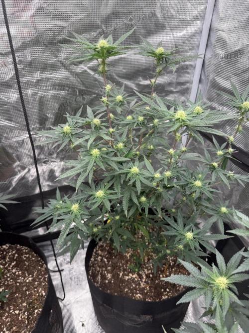 Take 2. Week 6