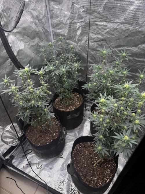 Take 2. Week 6