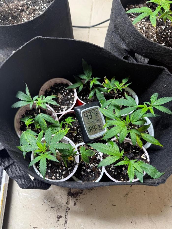 4th&10. Week 0