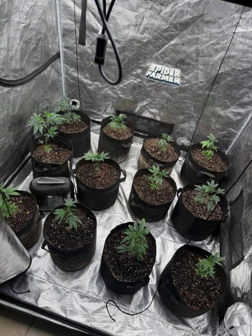 4th&10. Week 2