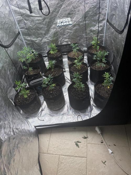 4th&10. Week 3