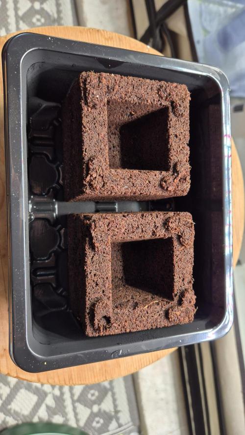 Schokolade. Week 0 - Tag 0.6