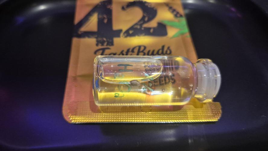 Gorillamelon (Pringles-Cup). Week 0 - Tag 1
Die ersten Stunden