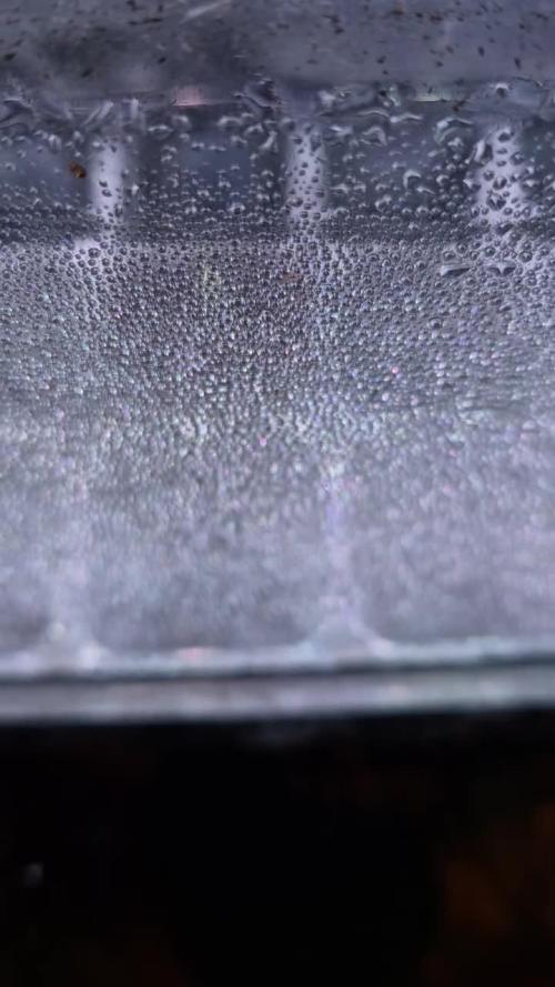 Gorillamelon (Pringles-Cup)