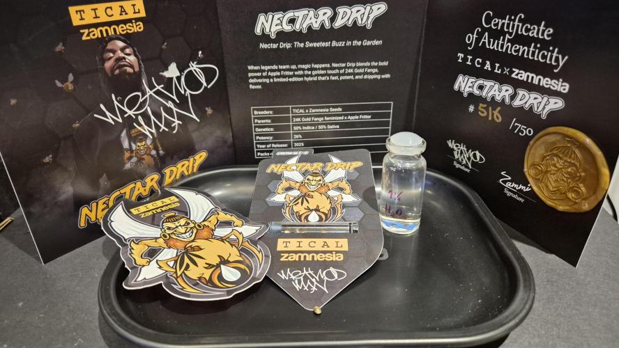 Tropfender Nektar. Week 0 - Tag 0.1