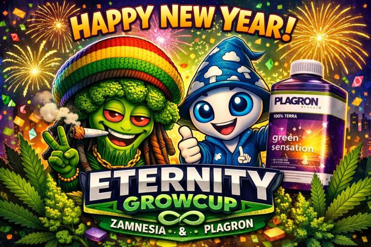 Eternity Grow Cup 2026. Week 0 - Happy New Year to everyone, stay healthy! 
