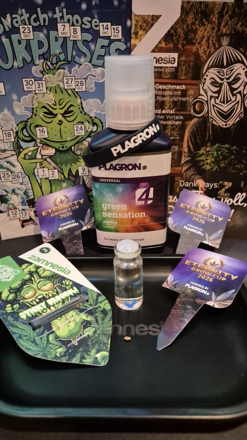 Eternity Grow Cup 2026. Week 0 - Tag 0.1