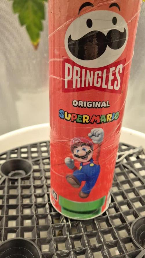 Gorillamelon (Pringles-Cup)