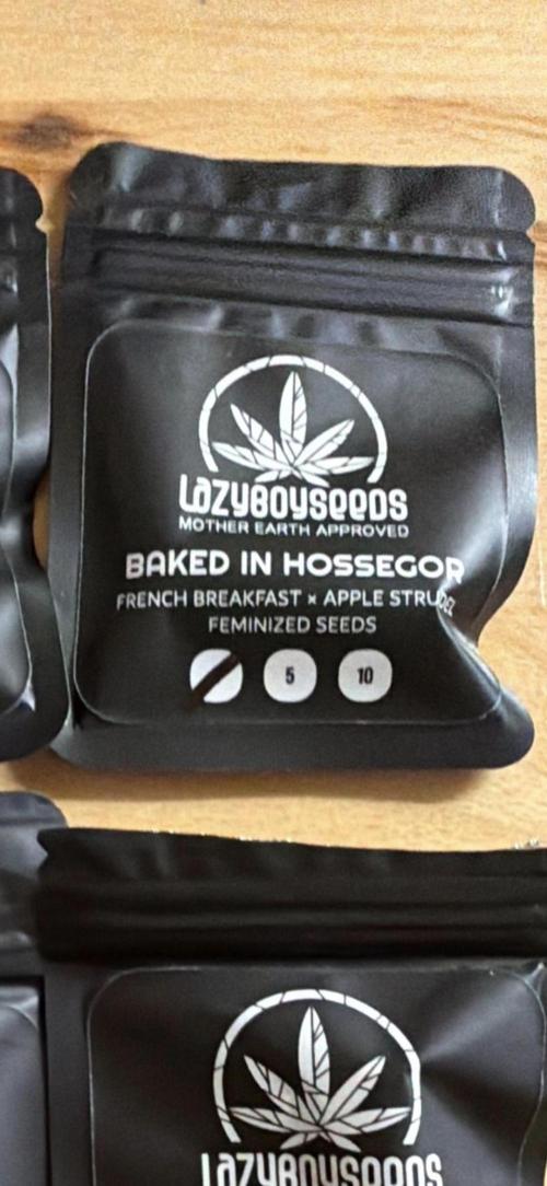 Lazyboyseeds Baked in Hossegor. Week 0 - Tag 0.1