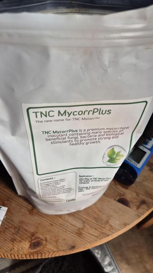 Sensis Cherry Strudel. Week 2 - Tag 15