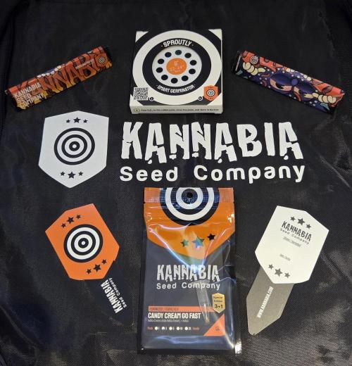 Kannabia Candy Cream Go Fast. Week 0 - Der Start