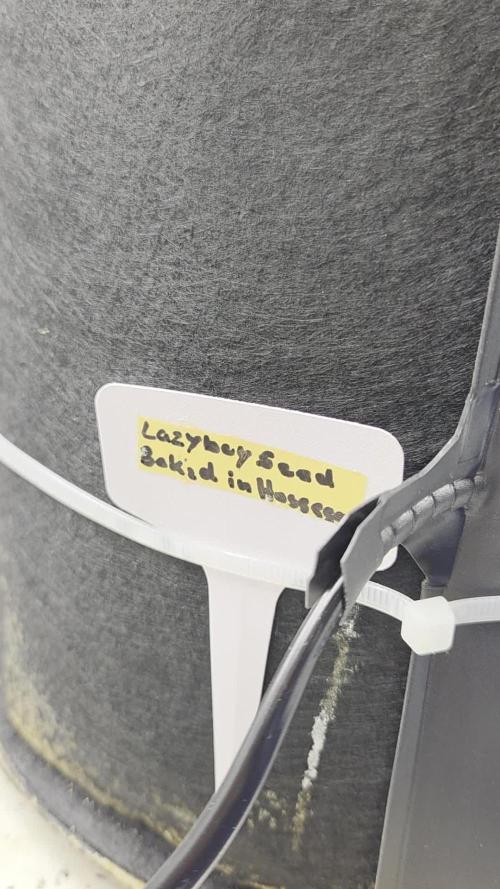 Lazyboyseeds Baked in Hossegor