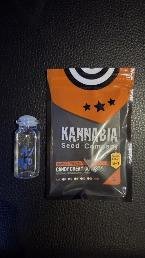 Kannabia Candy Cream Go Fast. Week 1 - Nr2.Tag 1