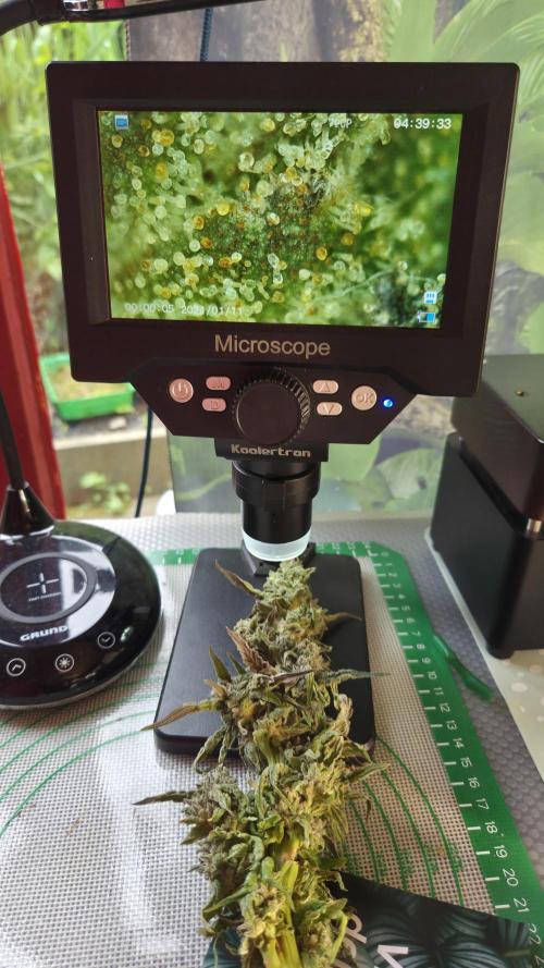 Lazyboyseeds Baked in Hossegor. Week 15 - Ganz schön Dunkel