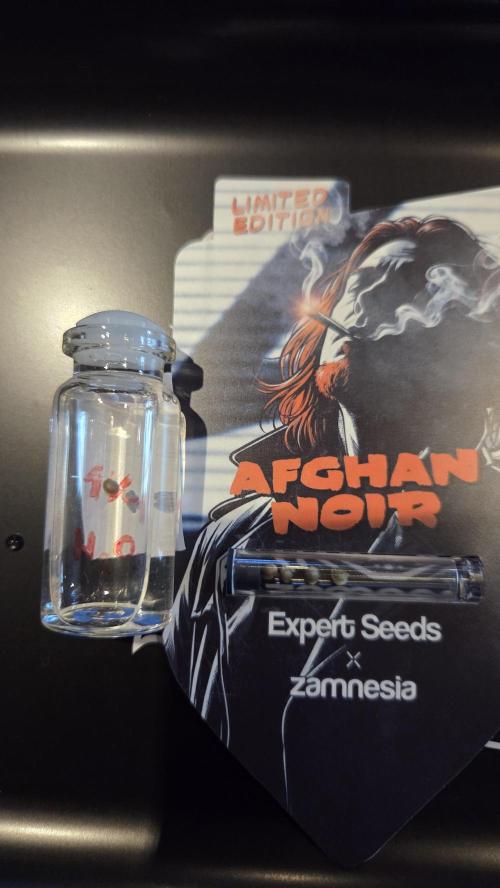 Afghan Noir. Week 0