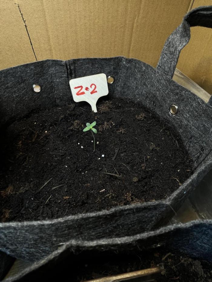 First time 🌱😏. Week 1