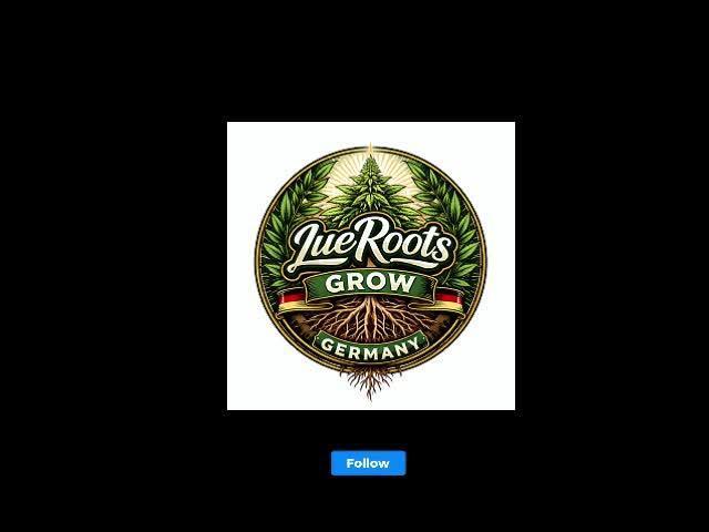 C.C.G / O.S.S Grow Event