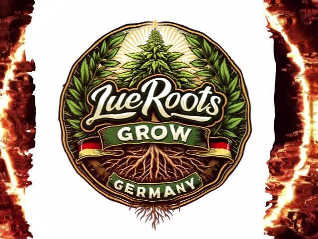 C.C.G / O.S.S Grow Event