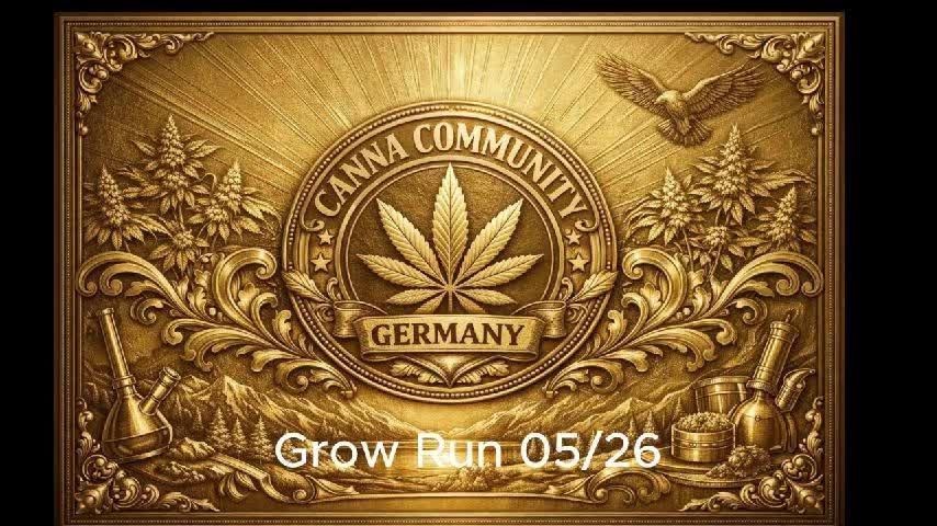 C.C.G / O.S.S Grow Event