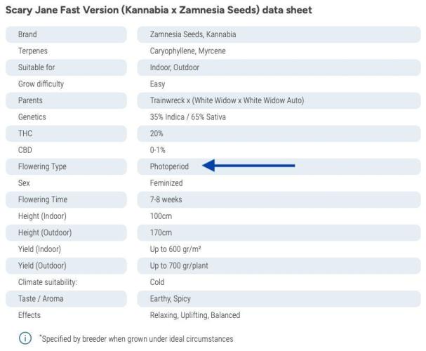 Scary Jane. Week 7 - Nov 15