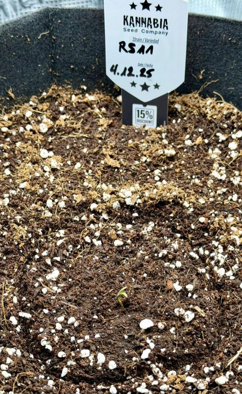 Best wishes Juan. Week 0 - Dec 4 Happy Birthday!!