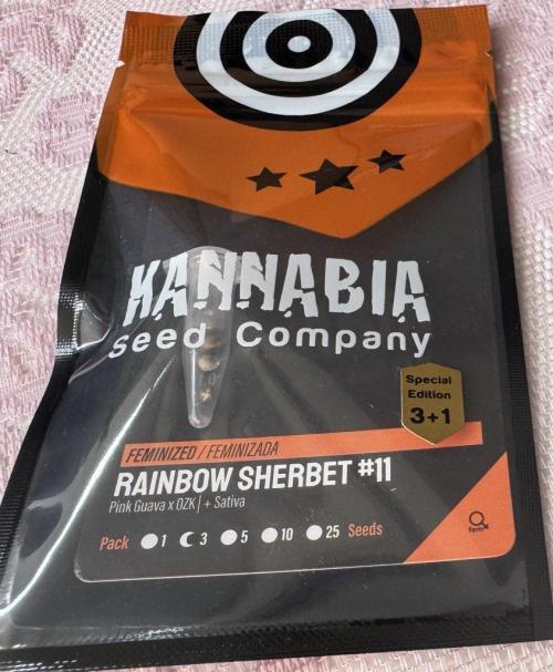 Best wishes Juan. Week 0 - The RS11