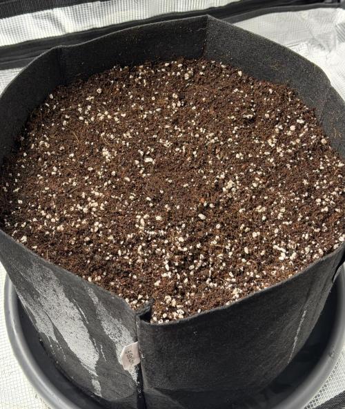 Best wishes Juan. Week 0 - Dec 1 80% Coco / 20% Perlite