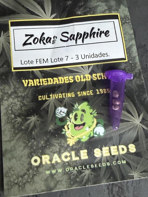 Baby Momma - Spain's Medicinal - Oracle. Week 0 - Dec 9