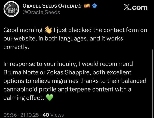 Baby Momma - Spain's Medicinal - Oracle. Week 0 - The advice