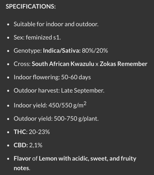 Baby Momma - Spain's Medicinal - Oracle. Week 0 - The profile