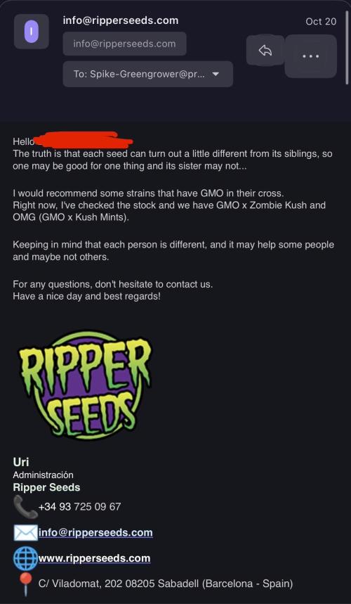 Baby Momma - Spain's Medicinal - Ripper. Week 0 - The Advice