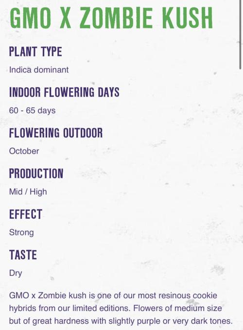 Baby Momma - Spain's Medicinal - Ripper. Week 0 - The profile