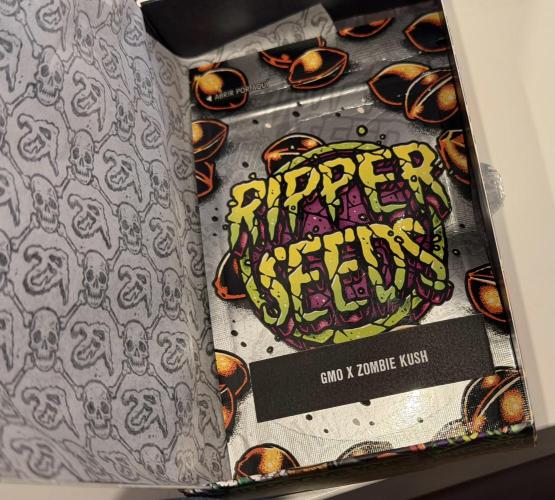 Baby Momma - Spain's Medicinal - Ripper. Week 0 - Hidden underneath