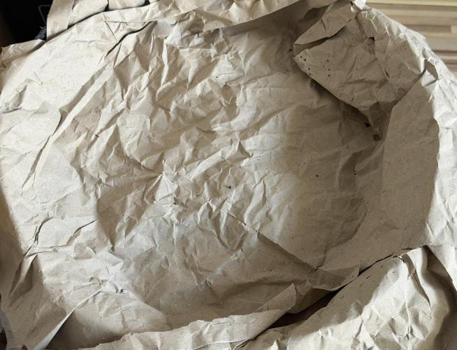 Vermicompost. Week 17 - New paper lid