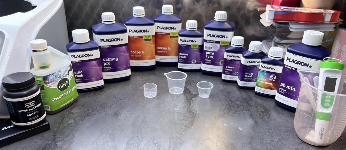 Friki Nana #112 - the Mutant. Week 0 - Dec 30