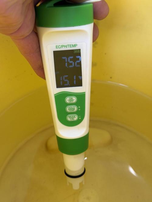 Friki Nana #112 - the Mutant. Week 0 - Dec 30 tapwater PH untreated