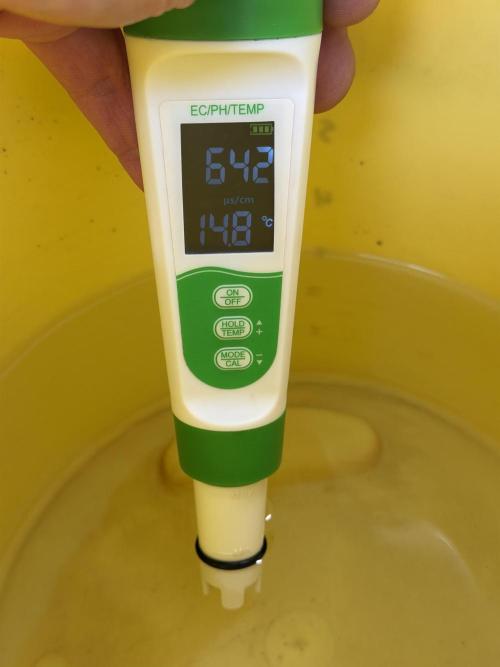 Friki Nana #112 - the Mutant. Week 0 - Dec 30 tapwater ppm untreated