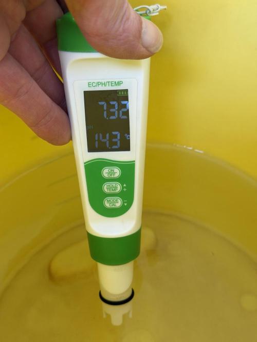 Friki Nana #112 - the Mutant. Week 0 - Dec 30 tapwater PH after chlorine removal