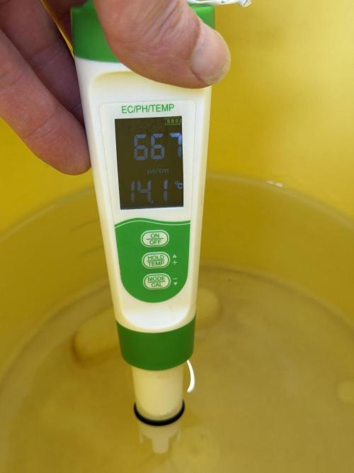 Friki Nana #112 - the Mutant. Week 0 - Dec 30 tapwater PPM after chlorine removal