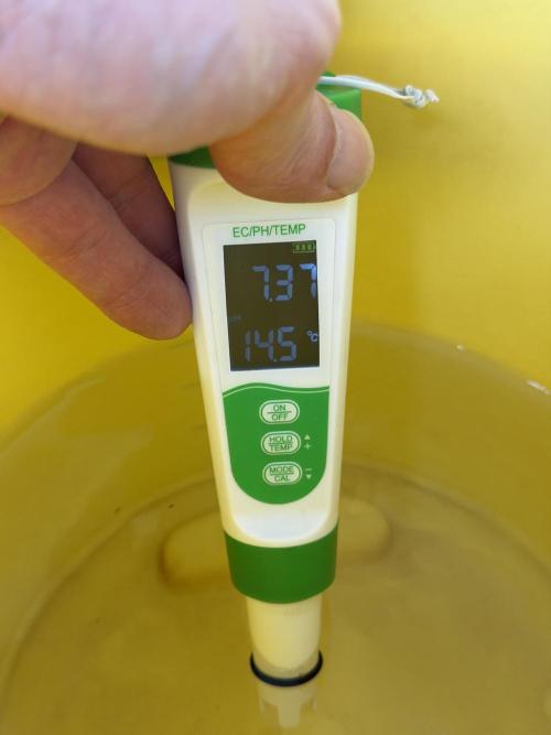 Friki Nana #112 - the Mutant. Week 0 - Dec 30 tapwater PH after CalMag