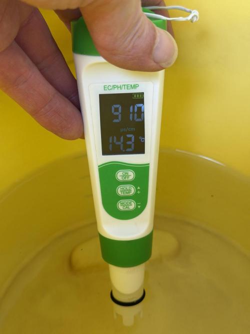 Friki Nana #112 - the Mutant. Week 0 - Dec 30 tapwater PPM after CalMag