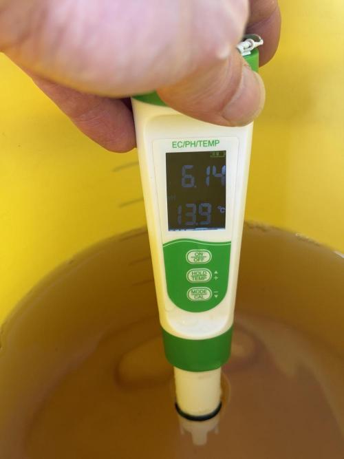 Friki Nana #112 - the Mutant. Week 0 - Dec 30 Feed ph 