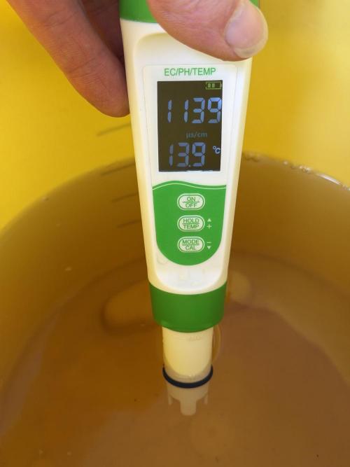 Friki Nana #112 - the Mutant. Week 0 - Dec 30 Feed PPM