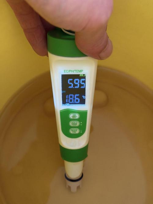 Friki Nana #112 - the Mutant. Week 2 - Jan 11 ph and temp