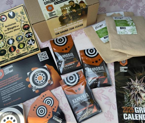 Take2 - RS11. Week 0