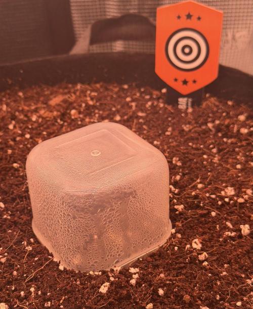 Take2 - RS11. Week 0