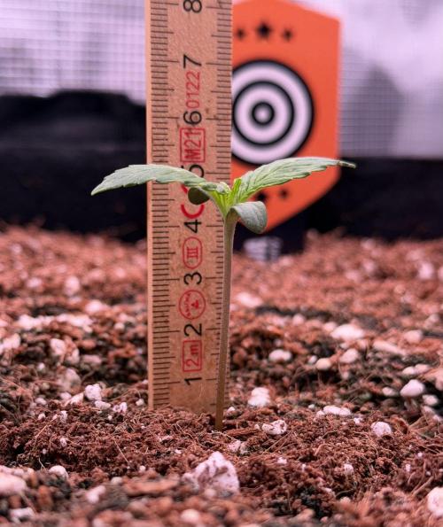 Take2 - RS11. Week 1 - Jan 23