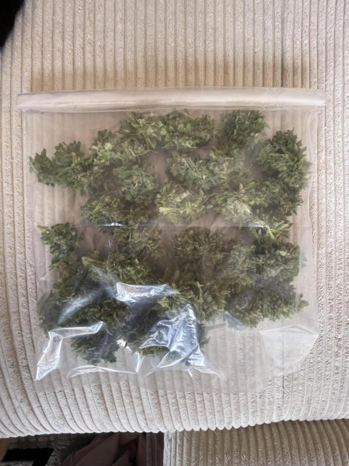 Cookie Gelato. Week 9