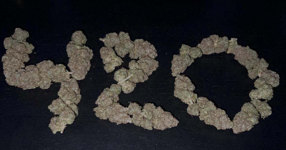 Hippie Therapy - Exotic Seeds. Week 18